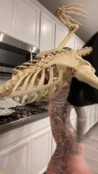 i feel i'd be great in a horror movie... wait! i mean whore movie [oc]