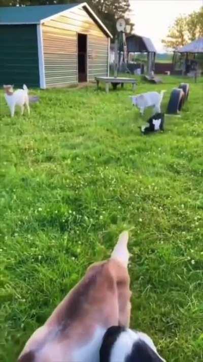 something you don't see everyday