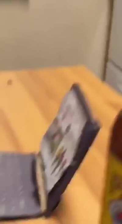 I said don't touch anything