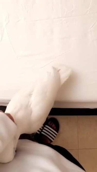 Casper, the sweet boy :)