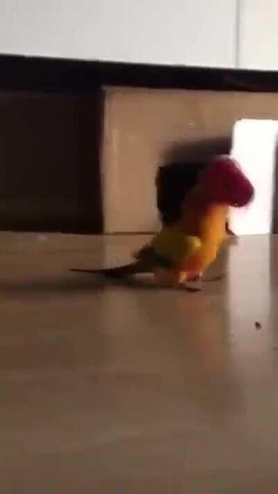 PLEASE HELP! MY AVIAN UNIT IS IN A FAULT STATE SINCE INSTALLING THE LATEST FIRMWARE