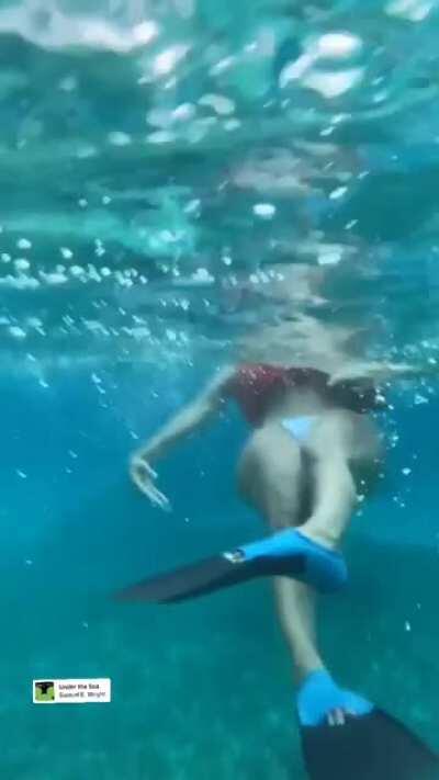 Underwater Booty View