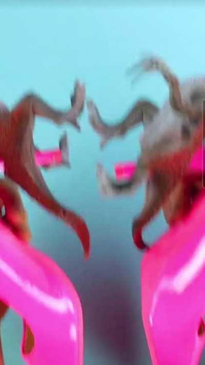 Saw this on Snapchat today ....