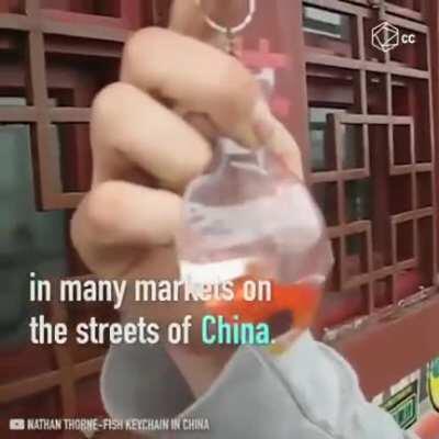 And take those turtles with you.