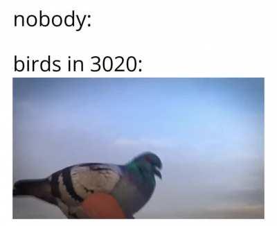 The evolution begins