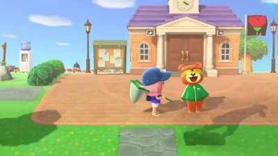 Teddy likes the view!