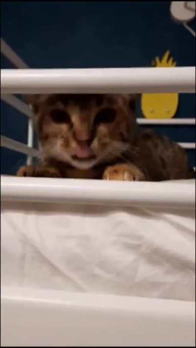 Mission failed! We’ll get em next time