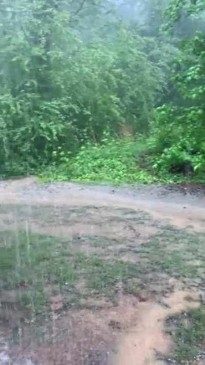 Walked outside to move my plants