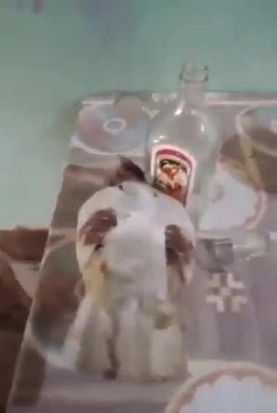 Doazin depois do manikas