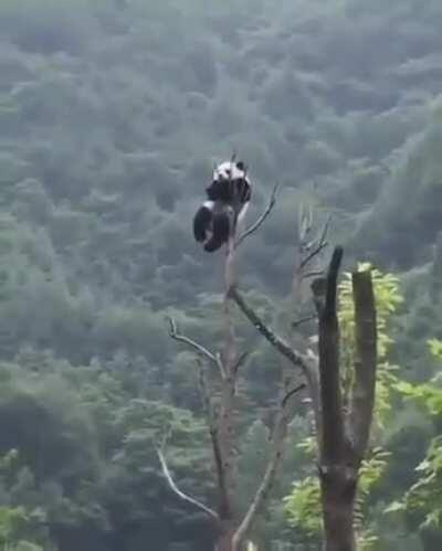 just in my little chair... swinging my legs... all alone...