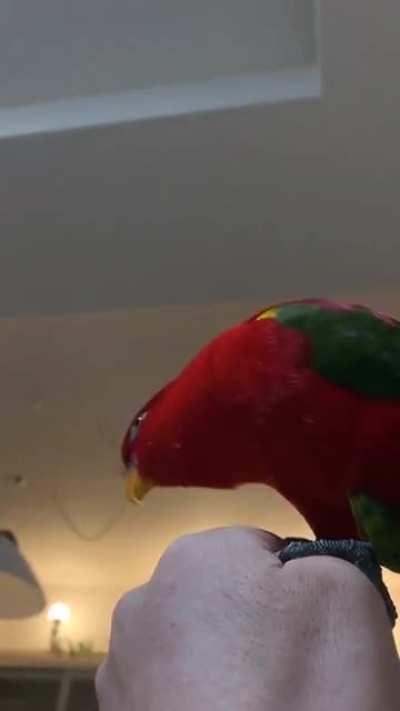 peepoScared peepoHappy peepoScared peepoHappy