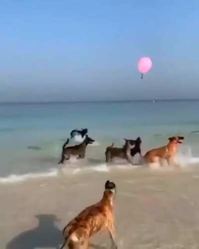 🔥 This is pure happiness!