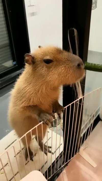 look at this handsome young man