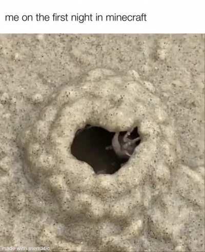 day one in minecraft