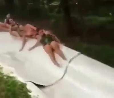 The way that dog was moving, one of those poor souls had to be the owner