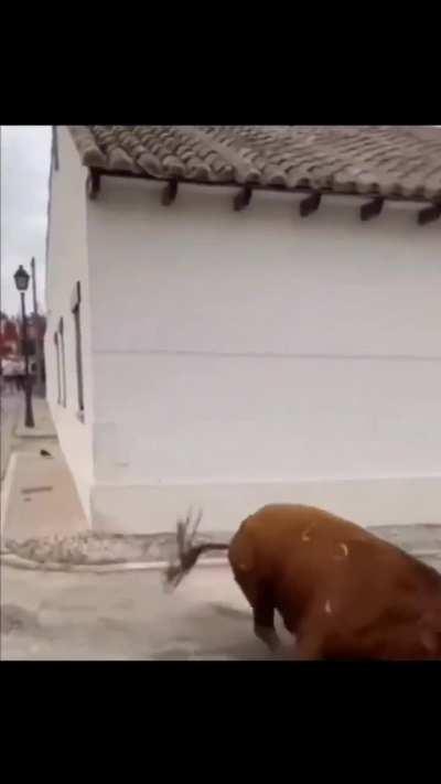 Akala ni bro ay naka spectator mode siya