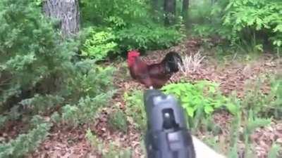 I feel like I'm in the apocalypse right now.