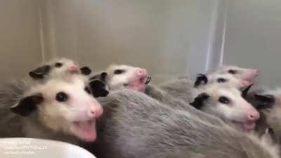 Certainly not graceful!