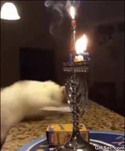 Well, that didn't go as planned