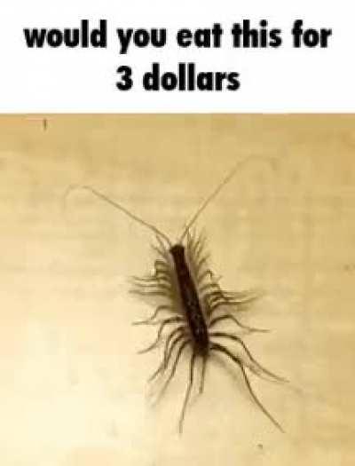 Boy, would I?! 🤑🤑🤑😋😋😋😋