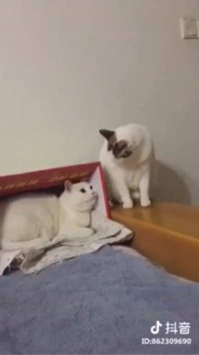 Adjusting the angle before attack