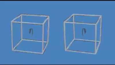 The cubes are not moving