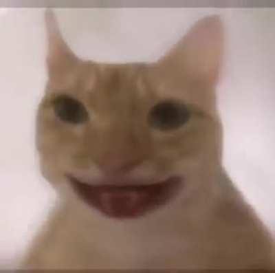 Me encontre este momo en las descargas v: v: v: v: v: v: