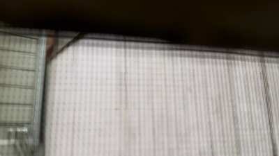 OP thinks they live next to the recording studio of the #1 sports podcast rather than believe their neighbor listens to a podcast every morning.