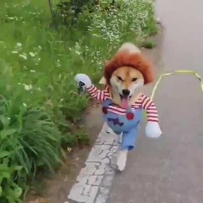 Assassins attack, do you feel a strong sense of oppression?