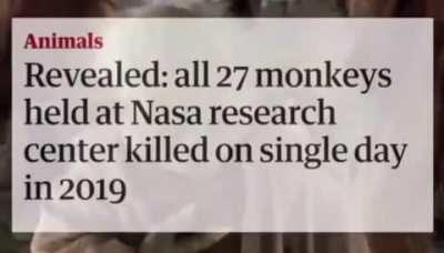 Millions of voices suddenly cried out, then went silent......