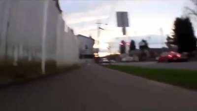 'Completely normal Cat'