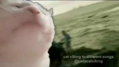 When you enter a taxi in gta