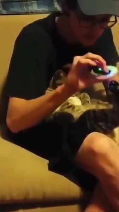 sADistIc HUmaN DRIllS cAT Leg FoR FUN