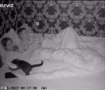 You sleeping, hoomans?