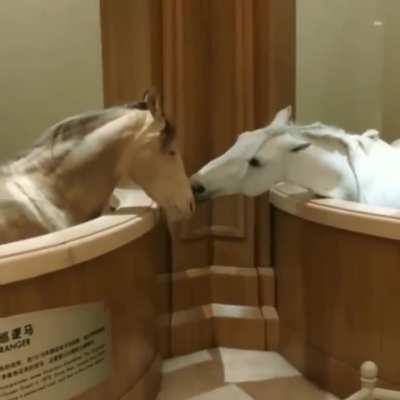 When you're the third wheel...