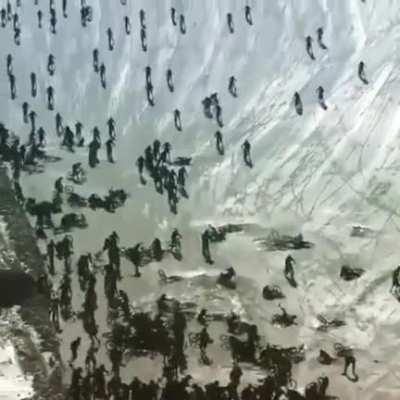 Bike ride turns into a vegetable farm