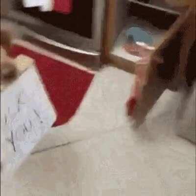 This dog is an asshole!