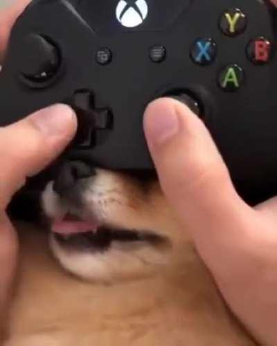 Новое поколение контроллеров