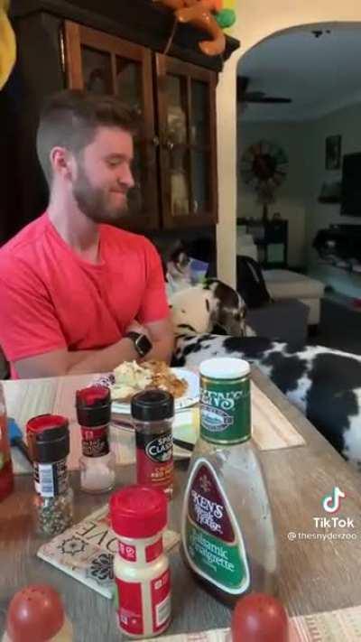 He REALLY wants the chicken!