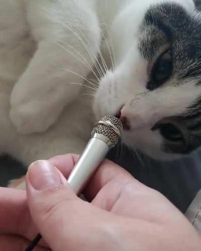 The only reason I bought a tiny microphone