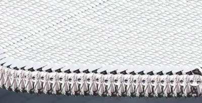 Just a bunch of Entys marching