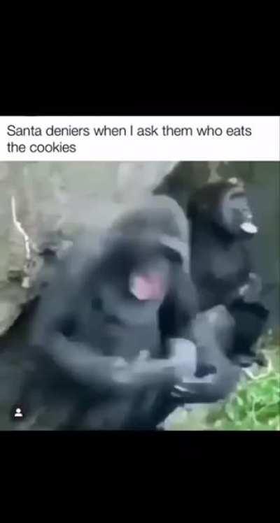 haha gorilla go BRRRRRR