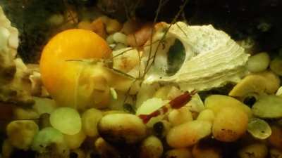 Casual Dining Experience Interrupted By Passerby