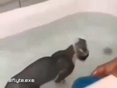 Por si nadie te lo ha dicho 🤙🏿