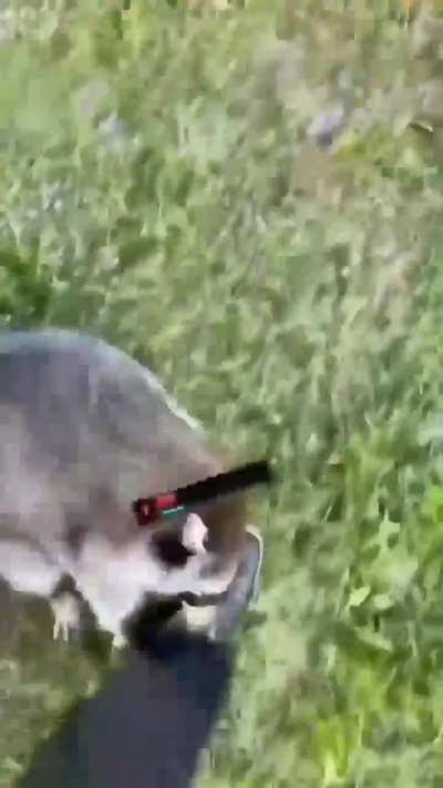 Average Vayne Gameplay