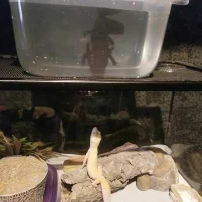 Someone wasn't happy about his temporary neighbor