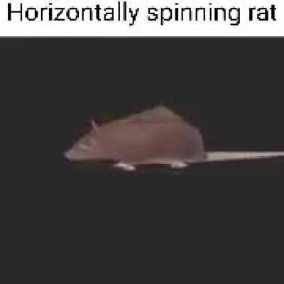 Horizontally spinning rat