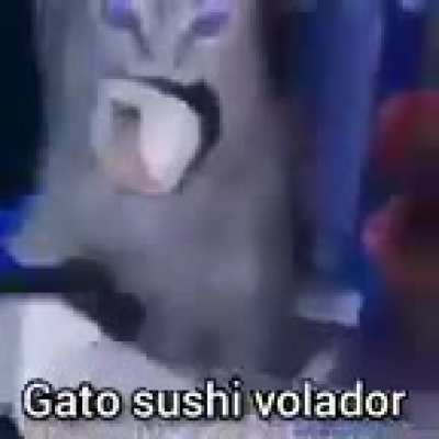 Gato sushi volador