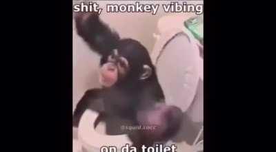 monke vibes ☺️💕