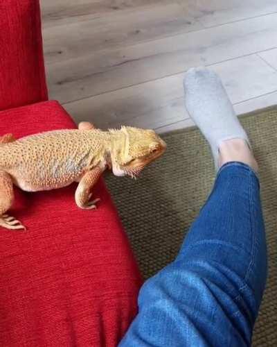 He is such a daredevil